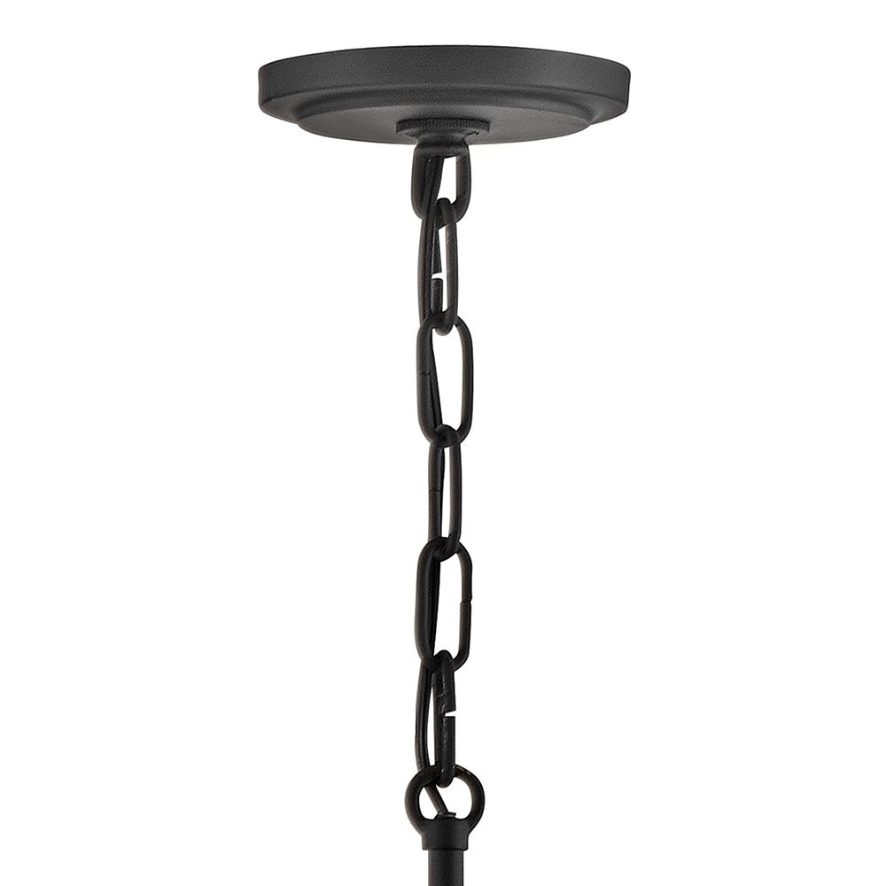 Hinkley Pendant Twyla Medium Pendant 12" Black