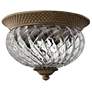 Hinkley Plantation 10.55" Bronze Optic Glass Flushmount Ceiling Light