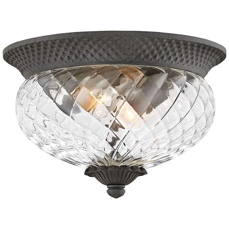 Image 2 Hinkley Plantation 12"W Black 2-Light Outdoor Ceiling Light