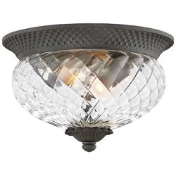 Hinkley Plantation 12"W Black 2-Light Outdoor Ceiling Light