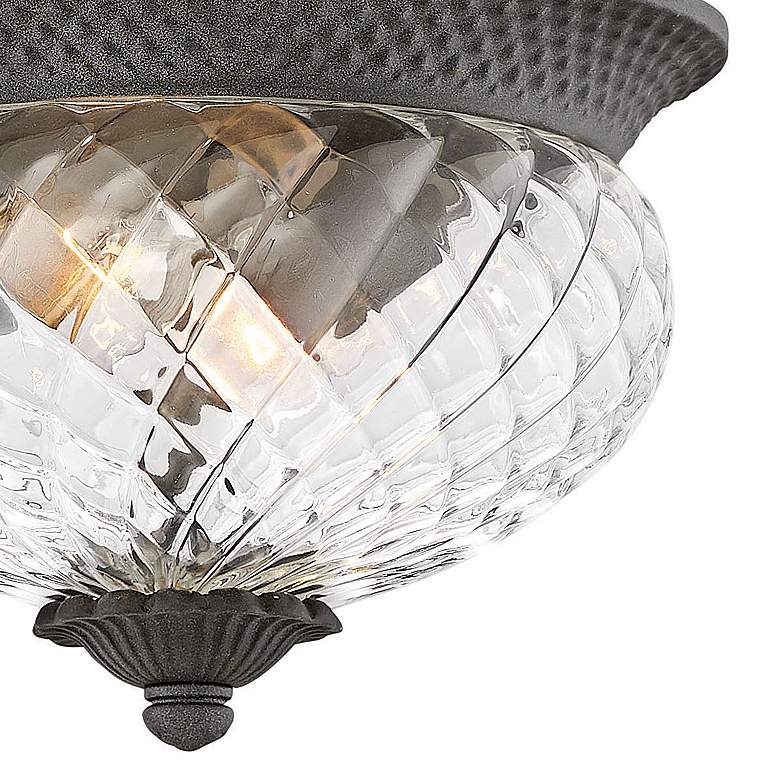 Image 4 Hinkley Plantation 12"W Black 2-Light Outdoor Ceiling Light more views