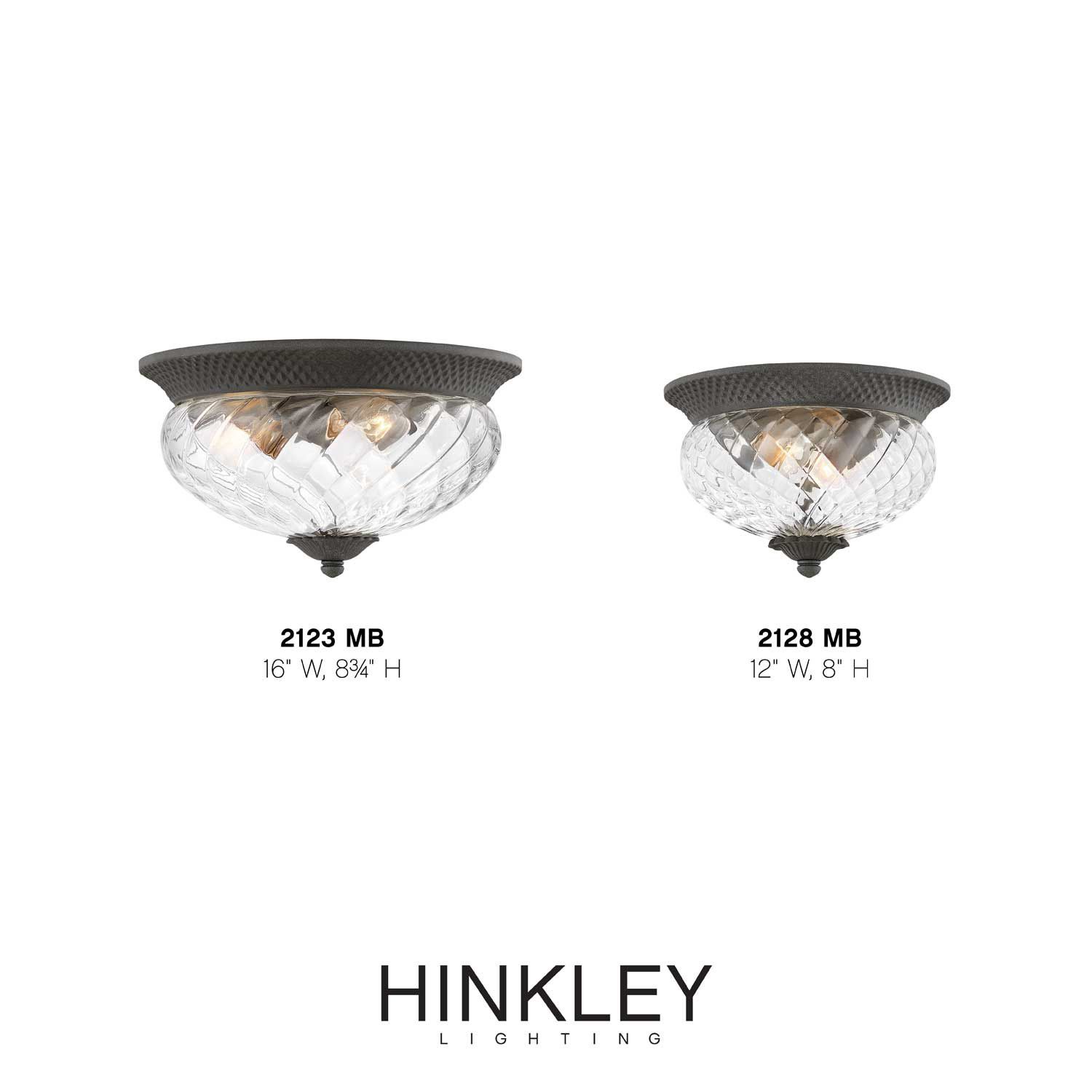 Image 6 Hinkley Plantation 12"W Black 2-Light Outdoor Ceiling Light more views