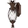 2_Hinkley Plantation 14" Pineapple Glass Copper Bronze Outdoor Light