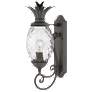 Hinkley Plantation 21 1/4" Black and Pineapple Glass Outdoor Light