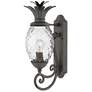 1_Hinkley Plantation 21 1/4" Black and Pineapple Glass Outdoor Light