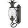 Hinkley Plantation 21 1/4" Black and Pineapple Glass Outdoor Light