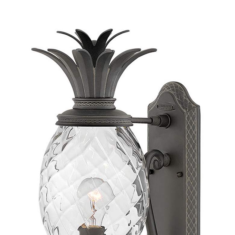 Image 2 Hinkley Plantation 21 1/4" Black and Pineapple Glass Outdoor Light more views