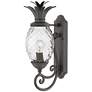 2_Hinkley Plantation 21 1/4" Black and Pineapple Glass Outdoor Light more views