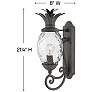 4_Hinkley Plantation 21 1/4" Black and Pineapple Glass Outdoor Light more views
