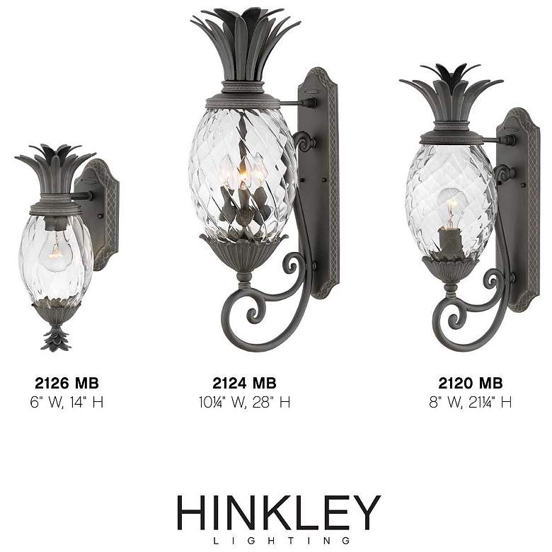 Image 6 Hinkley Plantation 28" High Pineapple Clear Glass Outdoor Wall Light more views