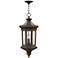 Hinkley Raley 27 1/2" High Bronze Outdoor Hanging Lantern