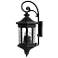 Hinkley Raley 31 1/2" Black Finish Traditional Outdoor Wall Light