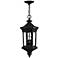 Hinkley Raley Collection 27 1/2" High Outdoor Hanging Light