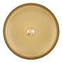 7_Hinkley Sadie 18" Wide Lacquered Brass Pendant Light more views