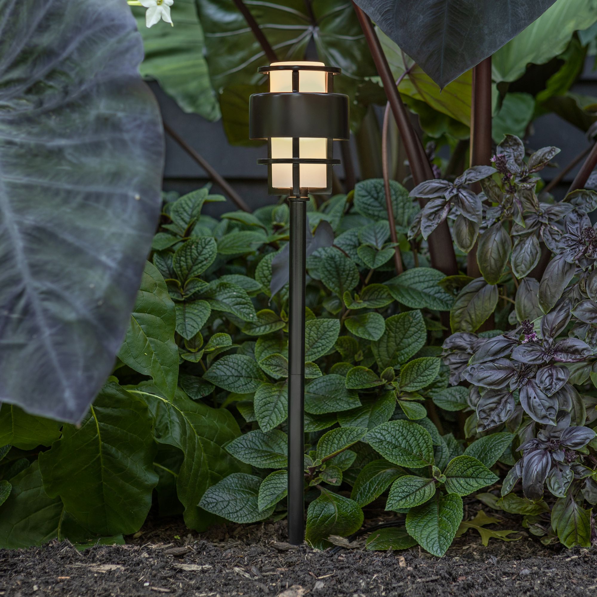 HINKLEY Saturn Black Collection