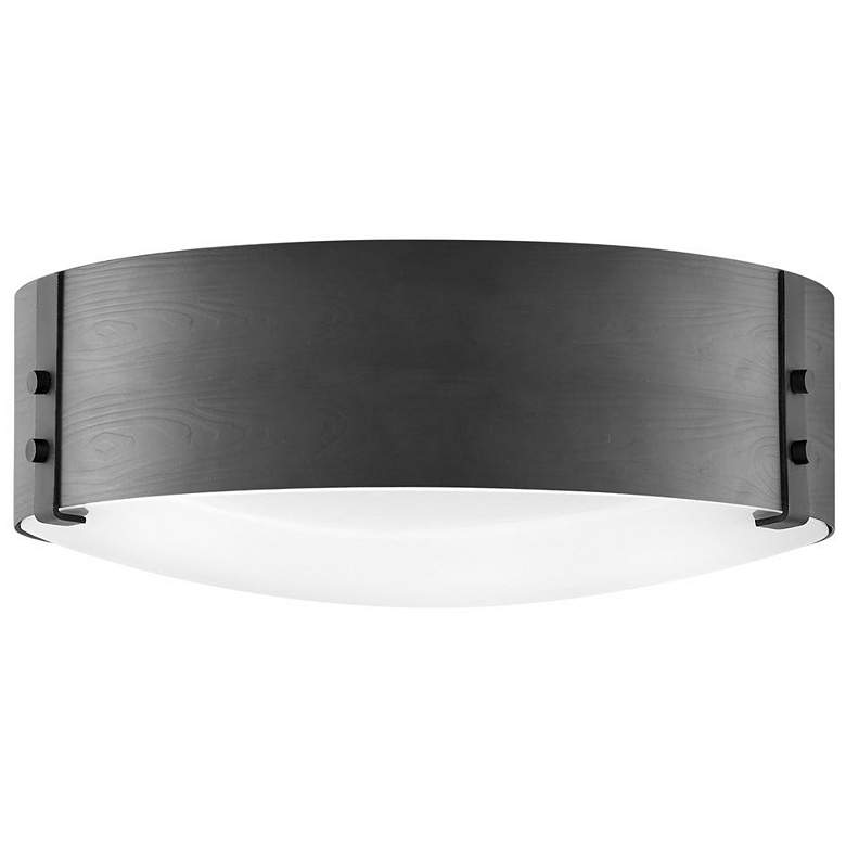 Image 1 Hinkley Sawyer 15" Wide Black Outdoor Ceiling Light