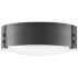 Hinkley Sawyer 15" Wide Black Outdoor Ceiling Light