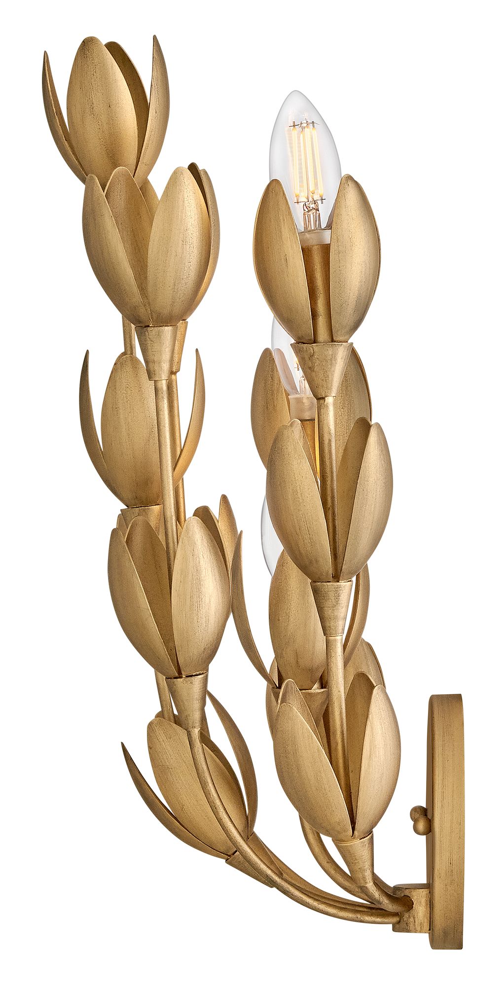 Image 7 Hinkley Sconce Flora Medium Sconce 7" Burnished Gold more views