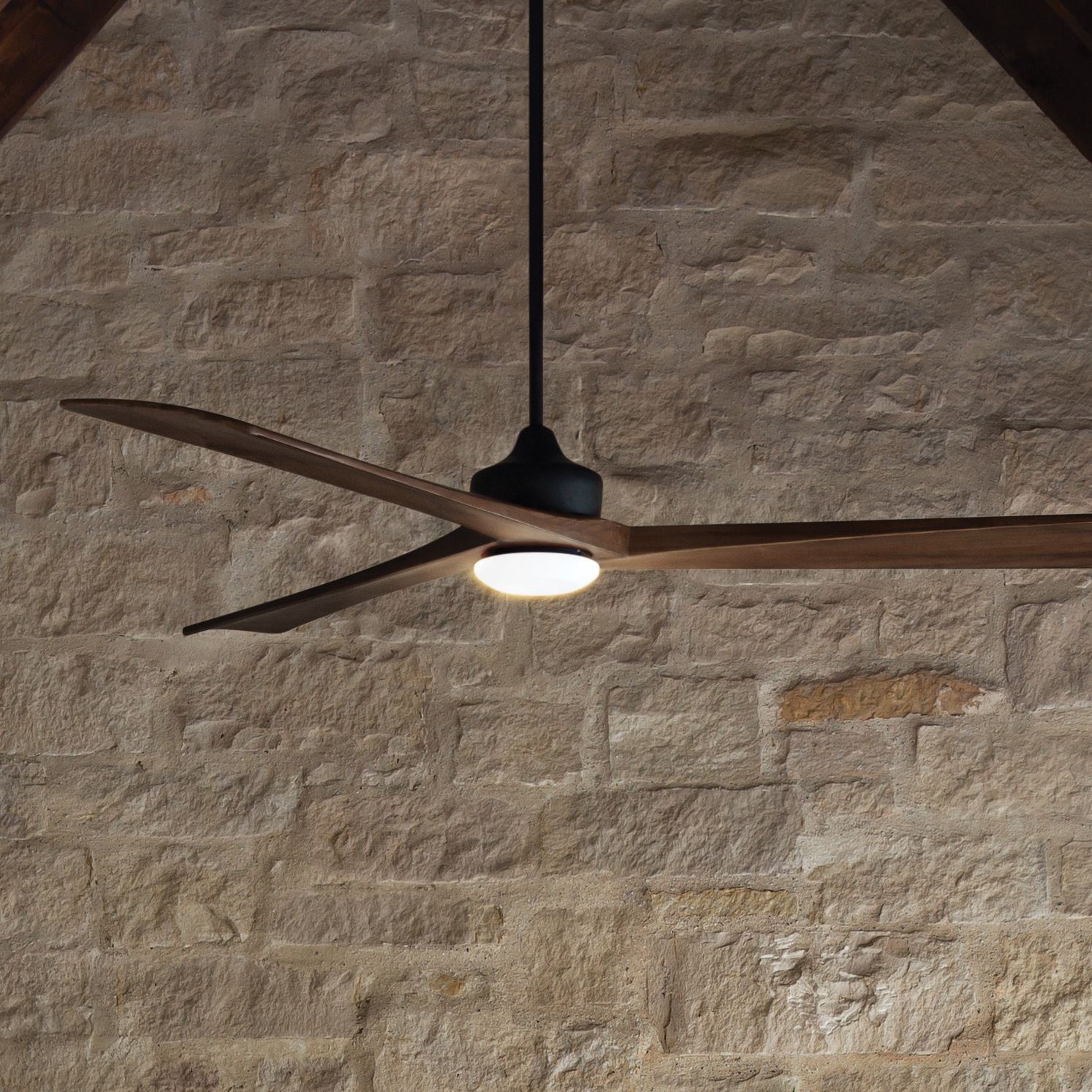 Hinkley Sculpt Black Collection