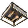 5_Hinkley Shaw 14" Wide Black and Brass 2-Light Ceiling Light more views