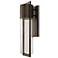 Hinkley Shelter 20 1/2" High Buckeye Bronze LED Outdoor Wall Light