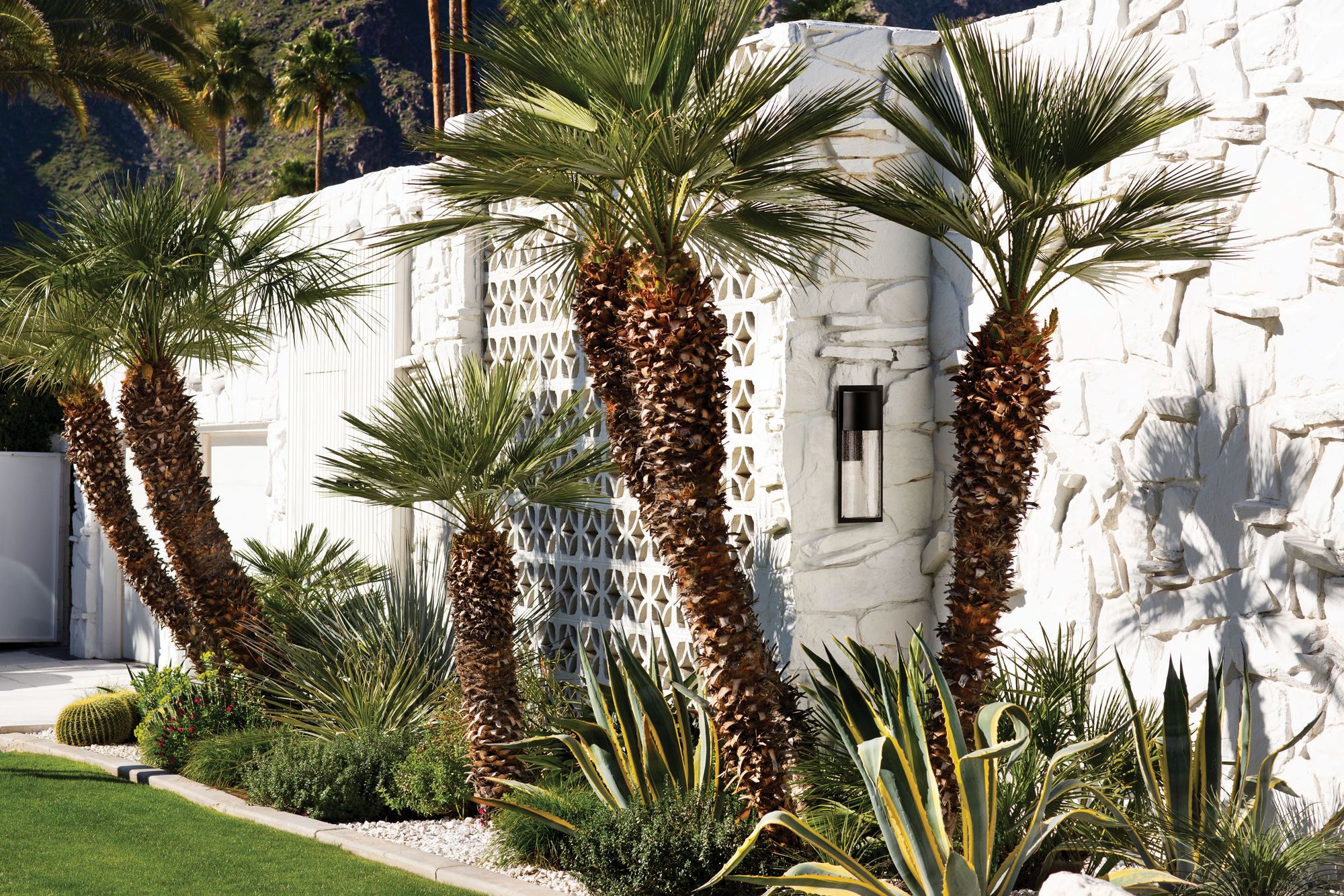 Hinkley Shelter 23 1/4" High Black LED Outdoor Wall Light in scene