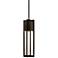 Hinkley Shelter 6 1/4" Wide Buckeye Bronze LED Outdoor Hanging Light