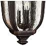 3_Hinkley Trafalgar 25"H Mocha 3-Light Outdoor Hanging Light more views