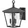 Hinkley Trellis 14 3/4" High Aged Zinc 3-Light Outdoor Wall Light