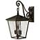 Hinkley Trellis 22 1/4"H Regency Bronze Outdoor Wall Light