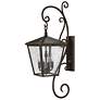 2_Hinkley Trellis 35 3/4"H Regency Bronze Outdoor Wall Light