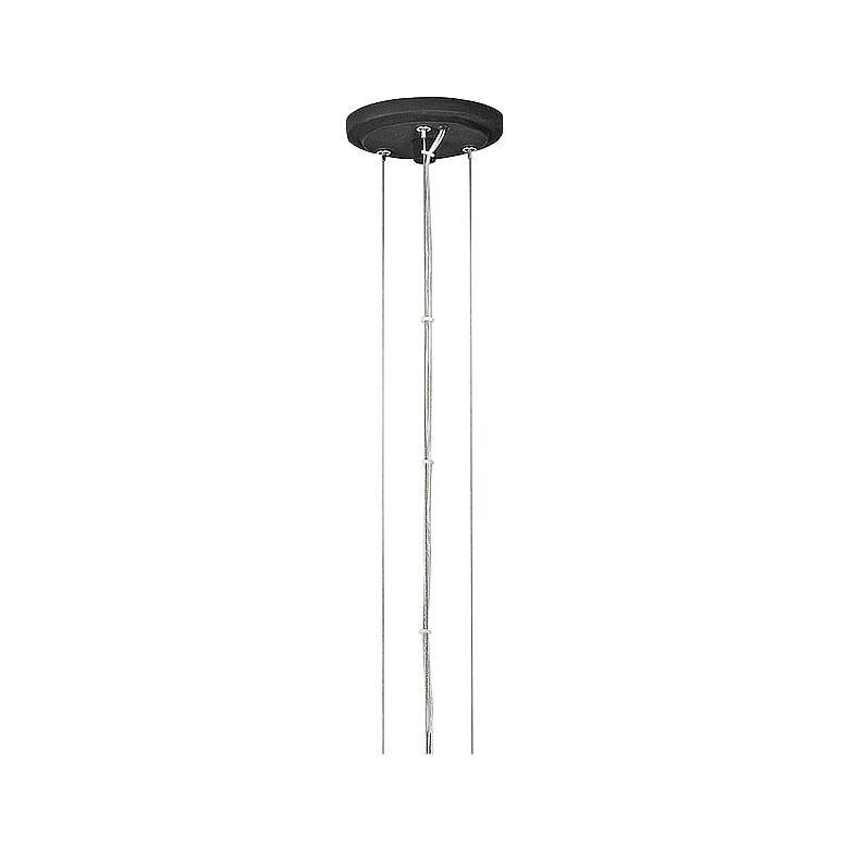 Image 4 Hinkley Willow 36"W Carbon Black 18-Light Ring Chandelier more views