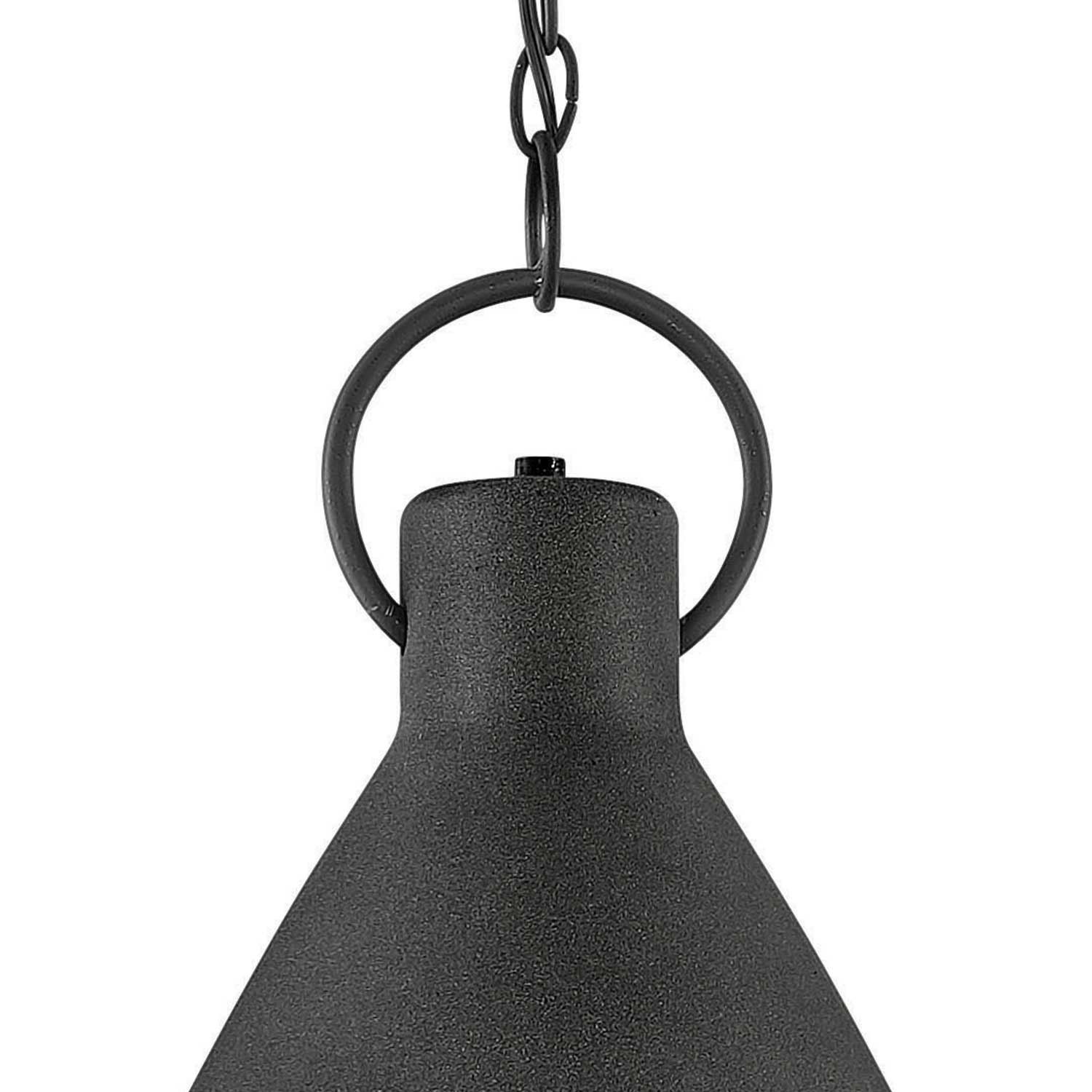 Image 4 Hinkley Winnie 12" Wide Aged Zinc Mini Pendant Light more views