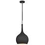 1_Hinkley Ziggy 12" Wide Black Mini Pendant