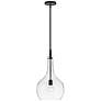 1_Hinkley Ziggy 12" Wide Black with Clear Glass Mini Pendant