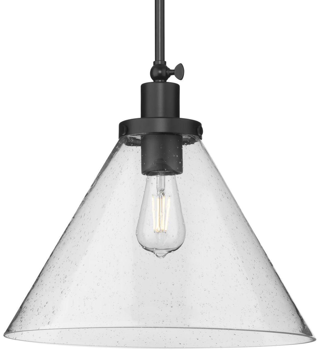 Hinton Collection One-Light Pendant P500384
