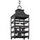 Holstrom 18 3/4" High Forged Iron Outdoor Hanging Light