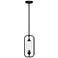 Holton 1-Light Mini-Pendant in Matte Black
