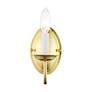 6_Home Basics 1 Light Polished Brass Arm Wall Sconce more views