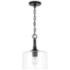 Home Place Lighting Carter 1 Light Pendant Matte Black
