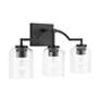4_HomePlace Lighting Carter 3 Light Vanity Matte Black more views