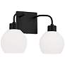 HomePlace Lighting Tanner 2 Light Vanity Matte Black