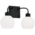 HomePlace Lighting Tanner 2 Light Vanity Matte Black
