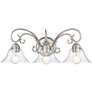 Homestead 24" Wide 3-Light Vanity Light in Pewter with Clear Glass