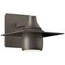 Hood Dark Sky Outdoor Sconce - Smoke Finish