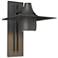 Hood Large Dark Sky Outdoor Sconce - Iron Finish