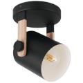 EGLO Hornwood Collection
