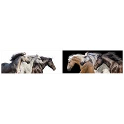 Horse 126" Wide Free Floating 2-Piece Glass Wall Art Set