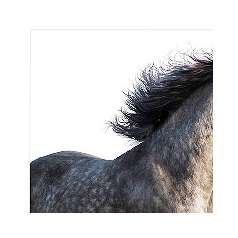 Image 3 Horse 126" Wide Free Floating 2-Piece Glass Wall Art Set more views