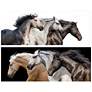 5_Horse 126" Wide Free Floating 2-Piece Glass Wall Art Set more views